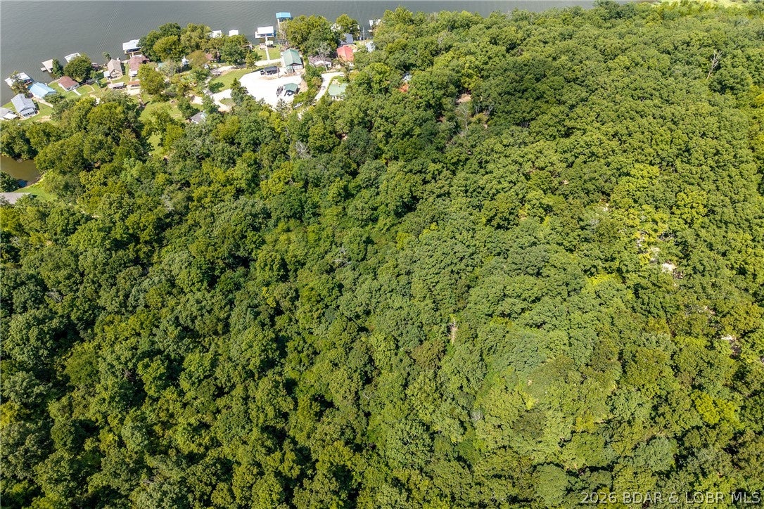 Turtle Cove - Land