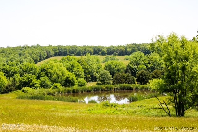 Are you ready to be a rancher, build your dream home, enjoy your own secluded hunting paradise or ALL 3? Then this is for you! Discover 217 +/- acres of expansive farmland and jaw dropping views. This working cattle farm has much to offer with large pastures, fencing & cross fencing for grazing management and cattle movement, beautiful ponds and multiple barns for your equipment and hay. The corrals, chutes and outbuildings are ready to be put to work. Just shy of 2 miles from Hwy 42, convenience! The property boasts many types of wildlife; deer, turkey, fox just to name a few. Sprawling pastures, many different types of trees and serene landscapes. So many opportunities with this property, let your imagination run as wild as the game and turn your dreams into reality.