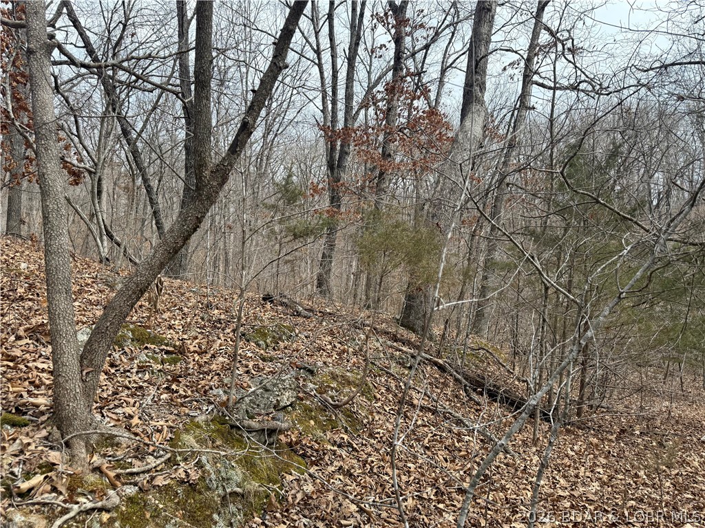 Lucky Point - Land