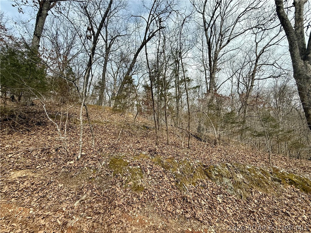 Lucky Point - Land