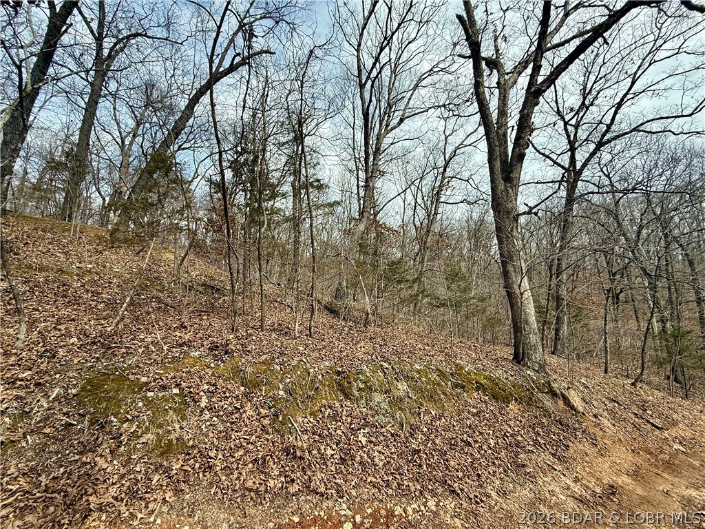 Lucky Point - Land