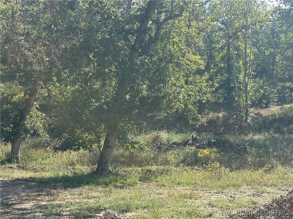 Woodhaven 2 - Land