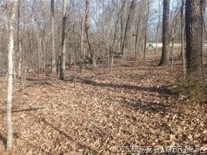 Double Lot Opportunity in Four Seasons!
Rare opportunity to own a spacious double lot in the highly sought-after Four Seasons community! These combined lots offer added privacy, flexibility, and extra room to build your dream home exactly how you want it. Surrounded by mature trees and natural beauty, this property provides a peaceful setting while still being just minutes from all the amenities Lake of the Ozarks has to offer.

Whether you're looking to build now or invest for the future, this oversized parcel gives you options that most lots simply don’t—more space, more privacy, and more potential. Enjoy access to Four Seasons amenities including pools, parks, boat ramps, playgrounds, and more, making this an ideal location for full-time living or a weekend getaway.

Opportunities like this don’t come around often—secure your double lot and start planning your build today!