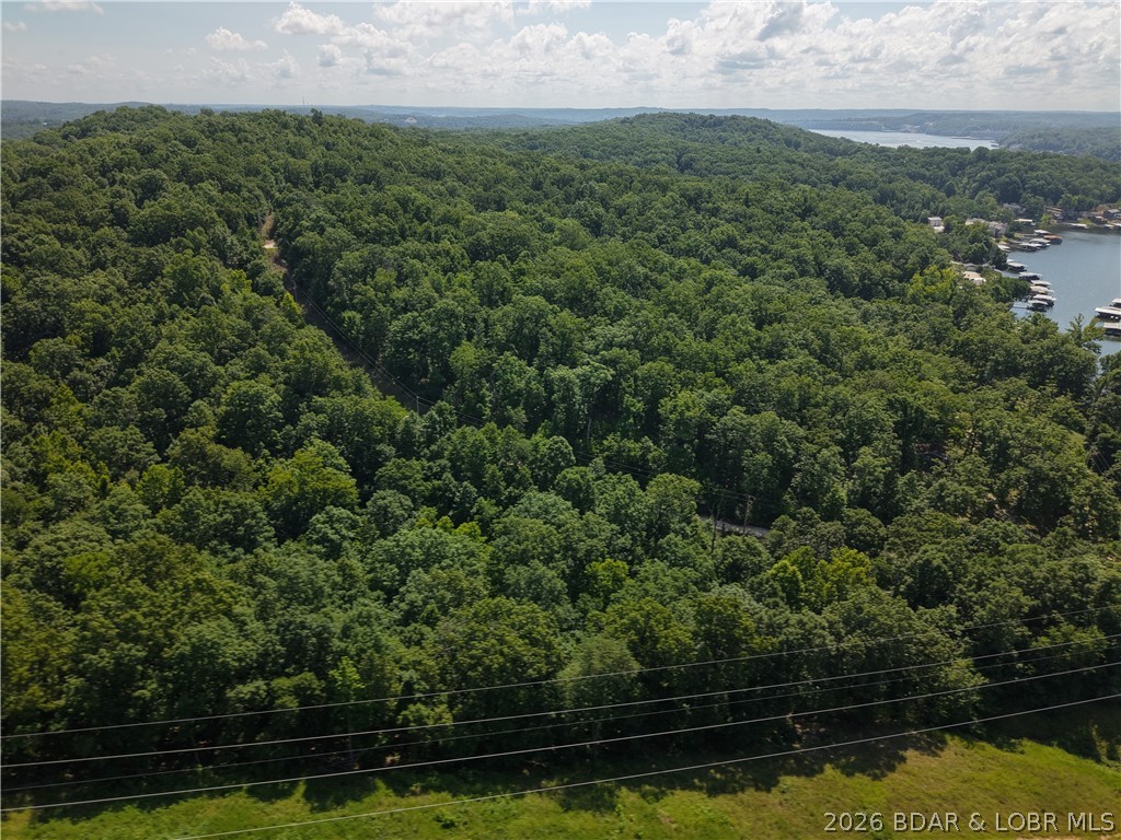 Discover the potential of this 1.2-acre wooded tract in the Twin Rivers Point area near Greenview. Located off Venus Road, this property offers an excellent opportunity for those looking to enjoy the Lake of the Ozarks lifestyle without the expense of a large parcel or waterfront property. Whether you're planning to build, invest, or simply own land in a desirable lake community, this tract provides a versatile starting point. Owners enjoy shared community lake access, making it easy to spend time on the water while still enjoying the benefits of a wooded setting. Conveniently located near marinas, restaurants, golf courses, and outdoor recreation, you'll have quick access to everything the lake area has to offer. Seller prefers seller financing terms, creating an excellent opportunity for buyers seeking flexible financing options. Affordable opportunities like this are becoming increasingly difficult to find, making this property well worth a look.