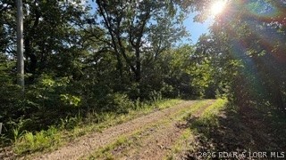 Almost a full acre lot just walking distance from the private, 40 ac. lake! Recently installed dock on POA private lake which. POA also had the bylaws updated (size restrictions on building size was removed, new construction simply needs approval from board). The POA Community hunting land also ensures each POA member access to hunt on said land (yearly passes granted). Community has private camping grounds with electric campsites for rent along with seasonally operated restrooms/shower house. Lots have been combined so only one parcel with really low taxes. Whether you want to build your dream home/shouse/cabin, or just own to use the hunting privilege's, you owe it to yourself to check this one out!