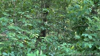 Indian Creek Hills - Land