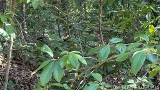 Indian Creek Hills - Land