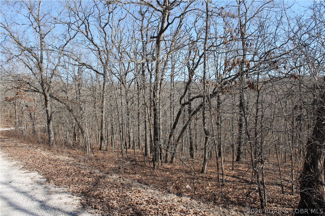 This property offers the space and setting you’ve been looking for to build your dream home or create a relaxing weekend retreat, Located in the gated Forbes Lake of the Ozarks community, you’ll enjoy peaceful surroundings filled with deer, turkey, and other wildlife. The community also features incredible amenities, including 3 interior lakes, 3 boat ramps with access to the calmer side of Lake of the Ozarks, tennis courts, an RV park, and so much more. This property offers the perfect balance of seclusion and accessibility.