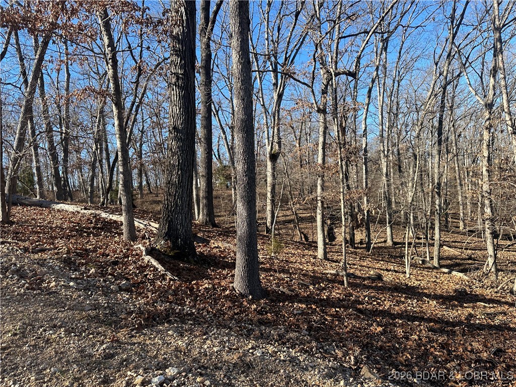 This .23-acre lot is located in the desirable Four Seasons community near Lake of the Ozarks and offers a great opportunity for a full-time residence or weekend getaway. Utilities are available at the street, making future development more convenient. Enjoy access to Four Seasons amenities including indoor and outdoor pools, tennis court, walking trails, clubhouse and boat ramps with lake access. The property is centrally located near shopping, dining, and year-round recreation, with easy access across the community bridge to Sunrise Beach allowing you to get to the West side of the lake in just minutes. A peaceful setting with strong potential in a well-established community. Take a look!