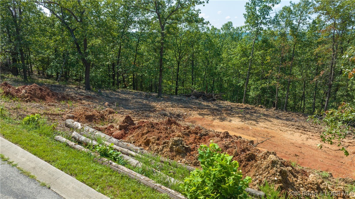 The Reserve at Oakwood Hills - Land