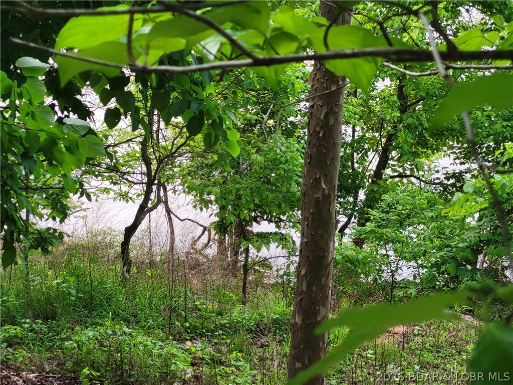 Build your lake dream on this 0.85-acre lot located at the 63MM of Lake of the Ozarks. Situated in a gated community, this property captures expansive main channel views while offering the benefit of calmer waters—perfect for swimming, fishing, and boating. Utilities including water, sewer, and electric are already in place, making it ready for your custom build. Enjoy the best of both worlds with peaceful lake conditions and sweeping panoramic scenery.