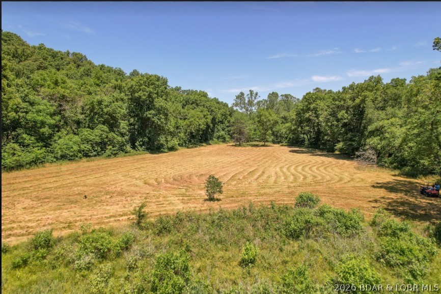 Offering an impressive 2,089' of gentle shoreline & 17.73 acres of beautifully diverse land. Held in the same family since 1952, this property carries over 74 years of history & presents a truly once-in-a-generation chance to own a large, private waterfront tract. A rare combination of acreage, shoreline, privacy, natural beauty—an opportunity that seldom becomes available at the Lake of the Ozarks. Outdoor enthusiasts will appreciate endless recreational opportunities, including fishing, kayaking, hunting,-exploring wide-open space. Property is rich with wildlife: deer, turkey, ducks. Eagles, making it a true haven for nature lovers. Previously operated as a cattle farm-enrolled in a forestry/crop protection program. Whether you envision a private estate, recr. getaway, hunting retreat, or legacy property, the possibilities here are truly endless. You will appreciate the endless recreational opportunities.  Shown by appointment after proof of funds. Seller must accompany all showings. Property is occupied-actively hunted— Do not access from Heather Rd or private driveway. Cameras/video security surveillance on property 24-7. Trustee for the trust is a licensed real estate agent.