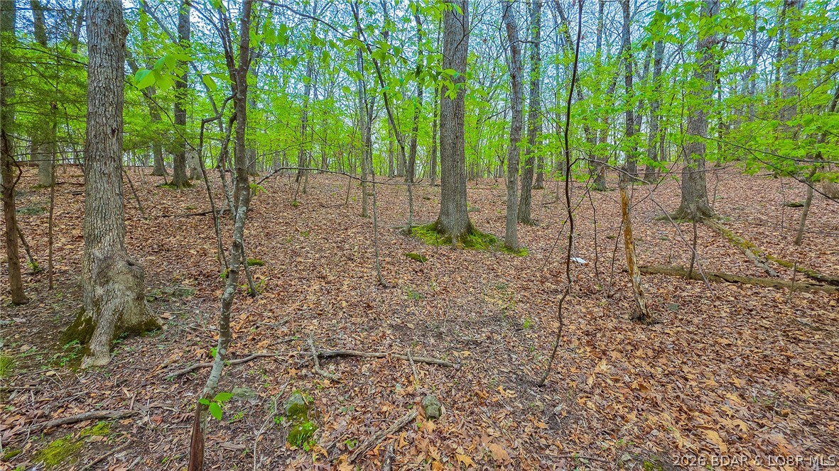 Discover the perfect setting for your custom home in the highly sought-after Porto Cima community. This serene, wooded lot offers a beautiful lake view and convenient lake access, allowing you to enjoy the best of the "Lake Life" from day one. Situated among high-end custom homes, this property is ready for your vision with utility agreements already in place to streamline your building process. Beyond the lot, you’ll enjoy community amenities designed for an active lifestyle, including sparkling community pools, workout facilities, pickleball and tennis courts, and much more. Per POA guidelines, homes should be a minimum of 1,200 sq. ft. or designed to complement the exquisite architecture of the surrounding neighborhood. Don’t miss this rare opportunity to secure a build-ready site in one of the premier luxury communities at the Lake of the Ozarks!