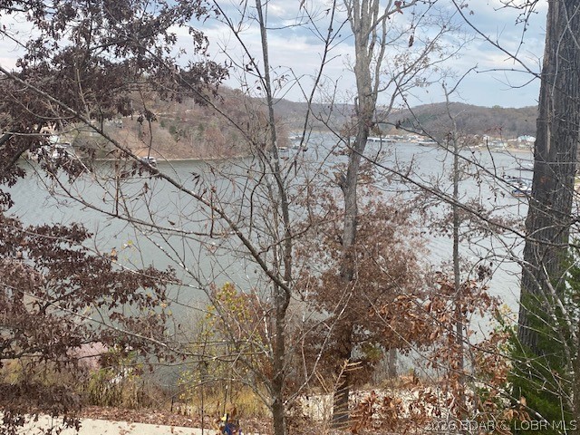 Discover the opportunity to build your Lake of the Ozarks getaway on Lot 74 Eagle Bay Drive in Gravois Mills. This 1.73-acre lot offers a peaceful setting with seasonal lake views and room to create the kind of retreat you’ve been dreaming about. Located in the Eagle Bay subdivision, owners enjoy community amenities including boat ramp access, boat trailer parking, road maintenance, community water, central sewer, and dock access for enjoying life on the water. With blacktop road access and a desirable location near the lake, this property is ready for your vision. Yearly HOA fees are $250.