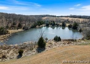 Forbes Lake of the Ozarks - Land
