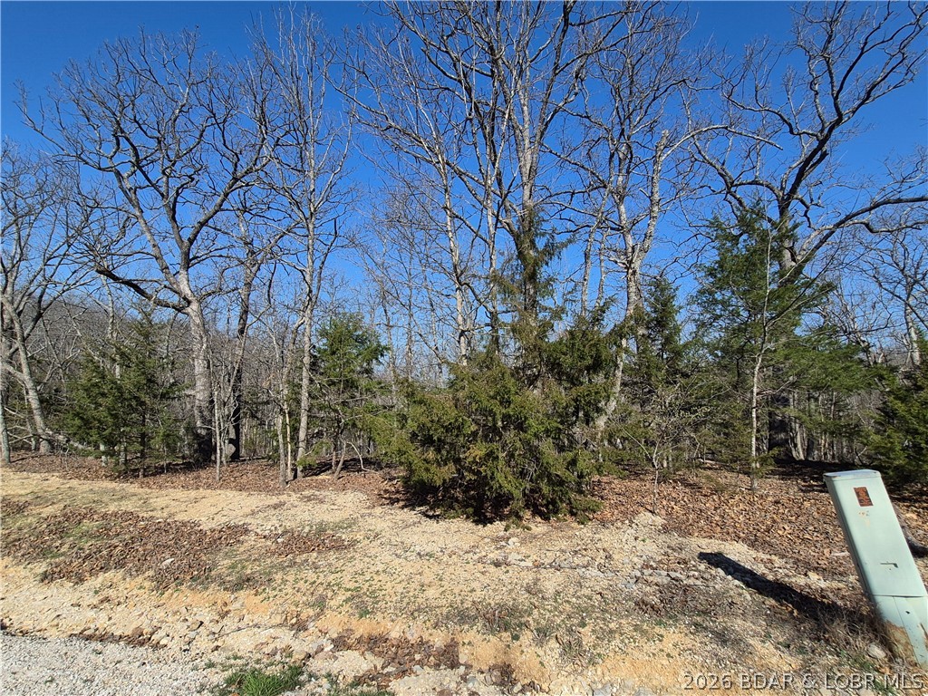 Don’t miss this exceptional opportunity to own a prime lot in the highly sought-after Four Seasons community at Lake of the Ozarks. This build-able lot offers the perfect setting to create your dream home while enjoying all the benefits of one of the area’s most desirable neighborhoods. As a Four Seasons property owner, you’ll have access to an outstanding lineup of amenities designed for year-round enjoyment, including multiple swimming pools, tennis and basketball courts, a campground, community boat ramp, playgrounds, and paved walking and jogging trails. The community also hosts a variety of events and activities throughout the year, creating a welcoming atmosphere for residents of all ages. Conveniently located near shopping, dining, entertainment, and everything Lake of the Ozarks has to offer, this property combines comfort, recreation, and convenience. Whether you love boating, fishing, hiking, or simply relaxing in a peaceful setting, this lot puts it all within reach.This is a rare opportunity to own a well-priced lot in a premier lake area community. Schedule your visit today and discover why so many love calling Four Seasons home.