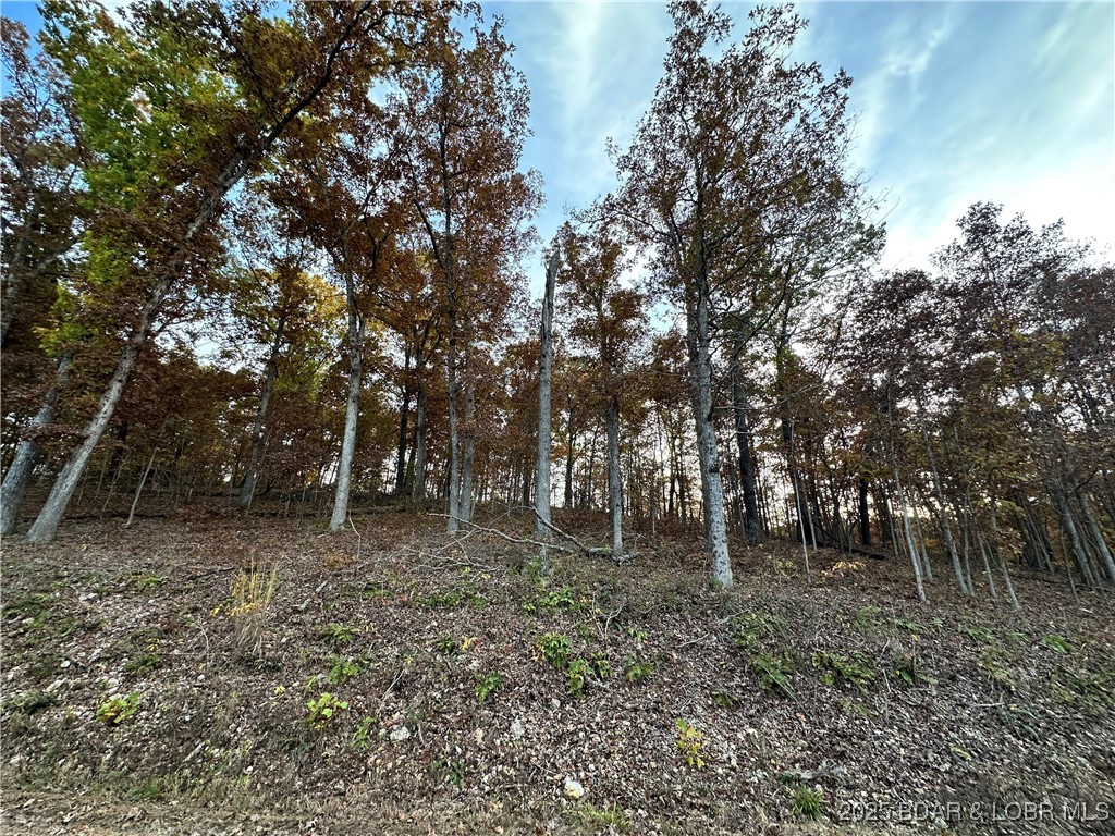 Forbes Lake of the Ozarks - Land