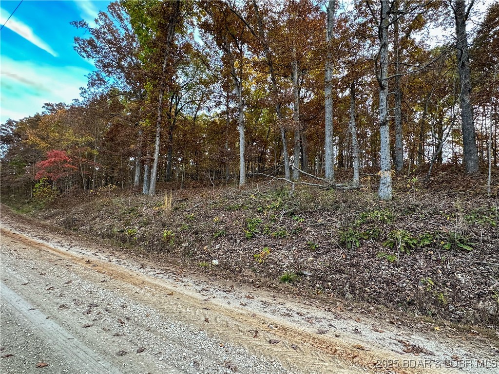 Forbes Lake of the Ozarks - Land