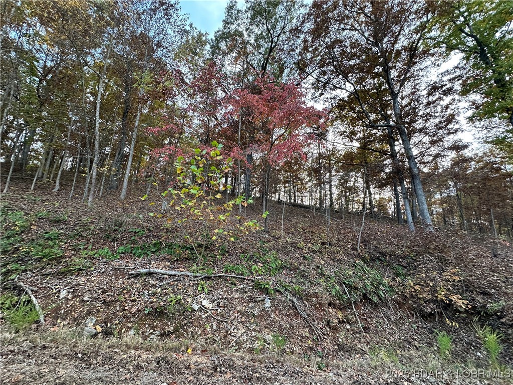 Forbes Lake of the Ozarks - Land
