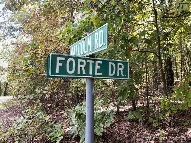 Explore your ideal escape on this approximately 3.4-acre lot! This stunning property provides the perfect backdrop for constructing your dream home or vacation retreat. Nestled within the gated Forbes Lake of the Ozarks community, you'll experience the peacefulness of nature, with deer, turkey, and a variety of wildlife right at your doorstep. Residents benefit from a range of amenities, including three interior lakes, three boat ramps, a tennis court, playground, RV park, and much more. Don’t miss the opportunity to create your own sanctuary in this beautiful setting!