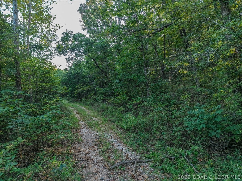 Indian Creek Hills - Land