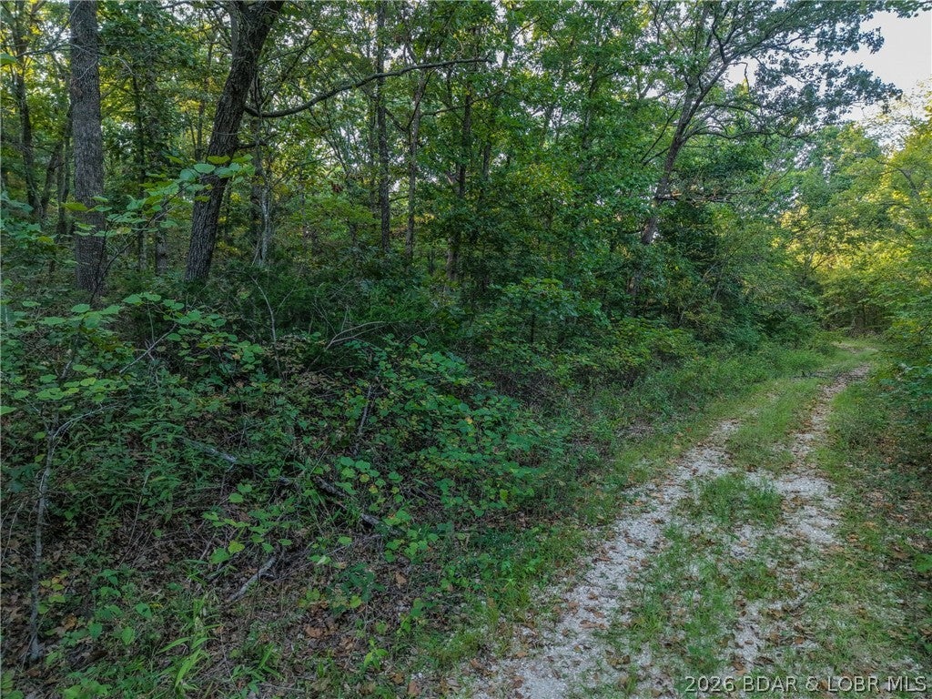 Indian Creek Hills - Land
