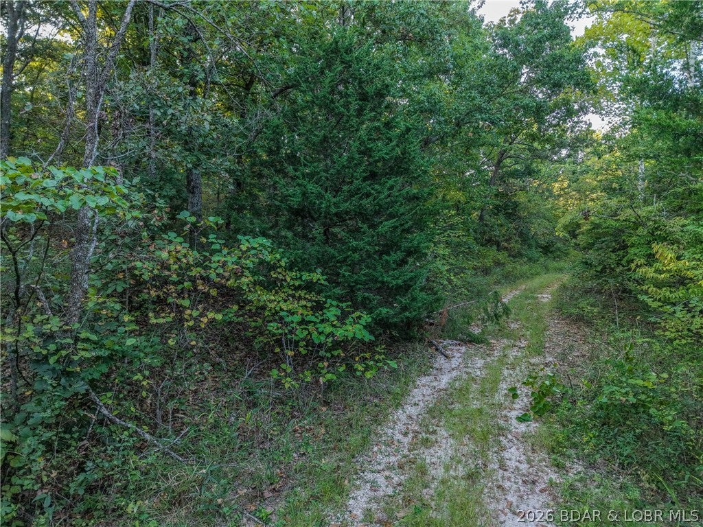 Indian Creek Hills - Land