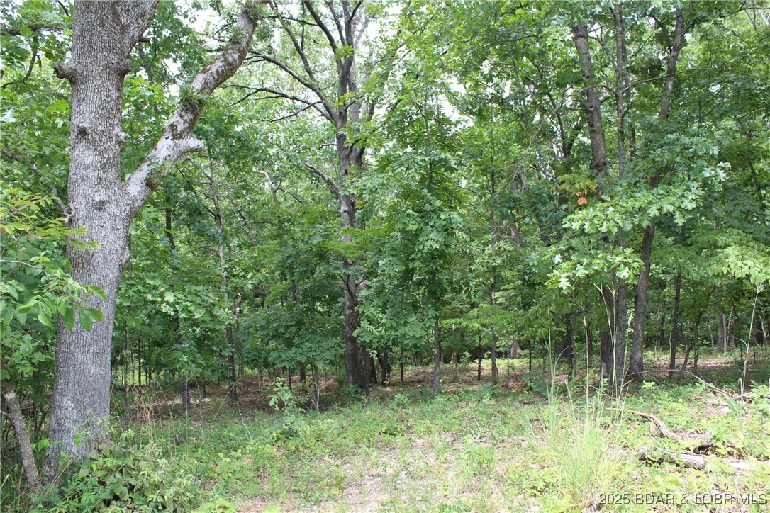 Woodhaven Estates - Land