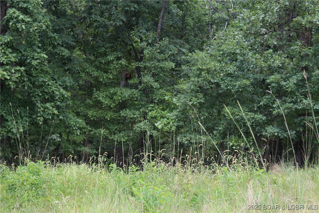 Woodhaven Estates - Land