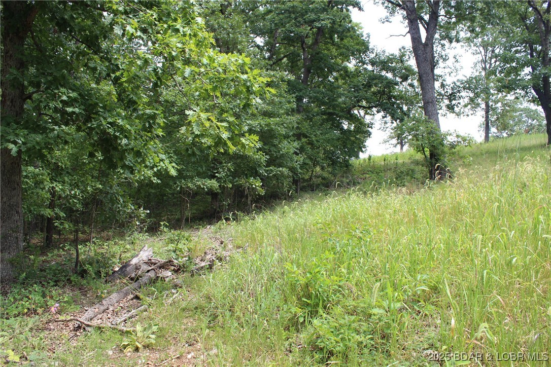 Woodhaven Estates - Land