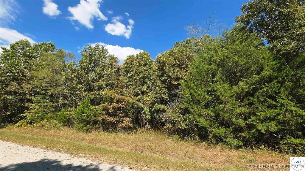 2.69-acre wooded lot with gently rolling terrain—great spot to build and enjoy some quiet nature. Located in the gated Forbes Lake of the Ozarks community, which offers 3 boat ramps, 3 stocked interior lakes, clubhouse, RV park, tennis and basketball courts, gun range, and more. Closest lake is Welch Lake. Lot is not intended for recreational purposes. Access by appointment only with a realtor. Community restrictions available at www.forbesloa.com