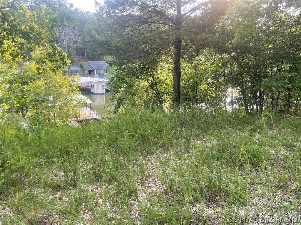 Rainey Creek Acres - Land