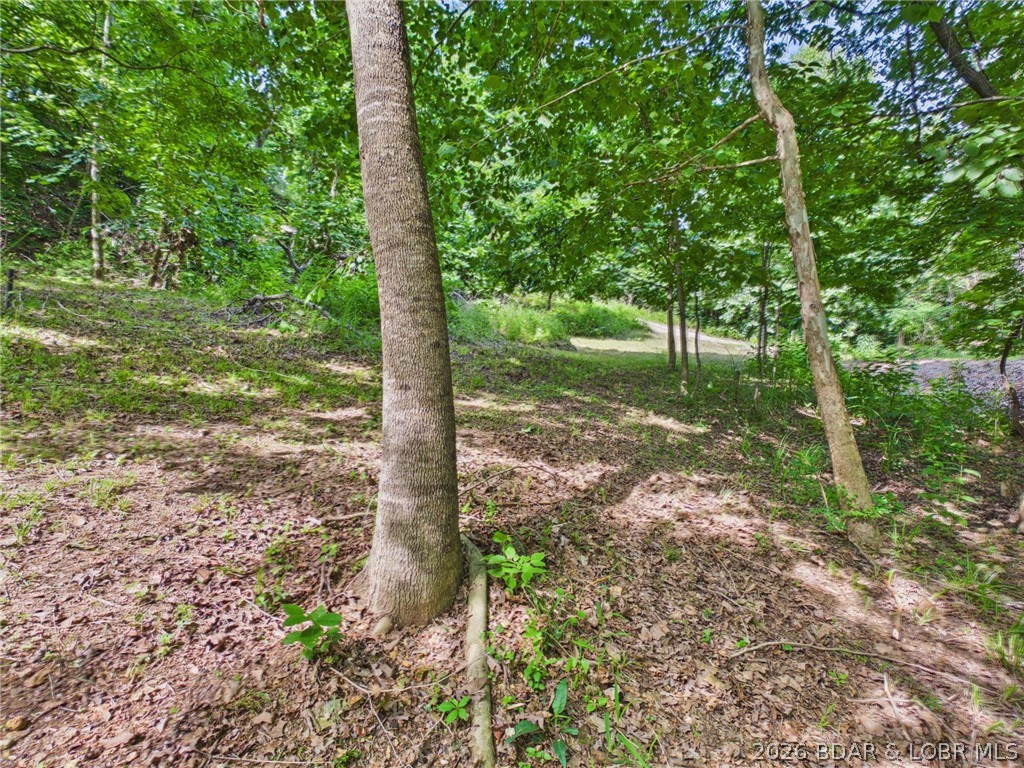 Sunrise Acres - Land
