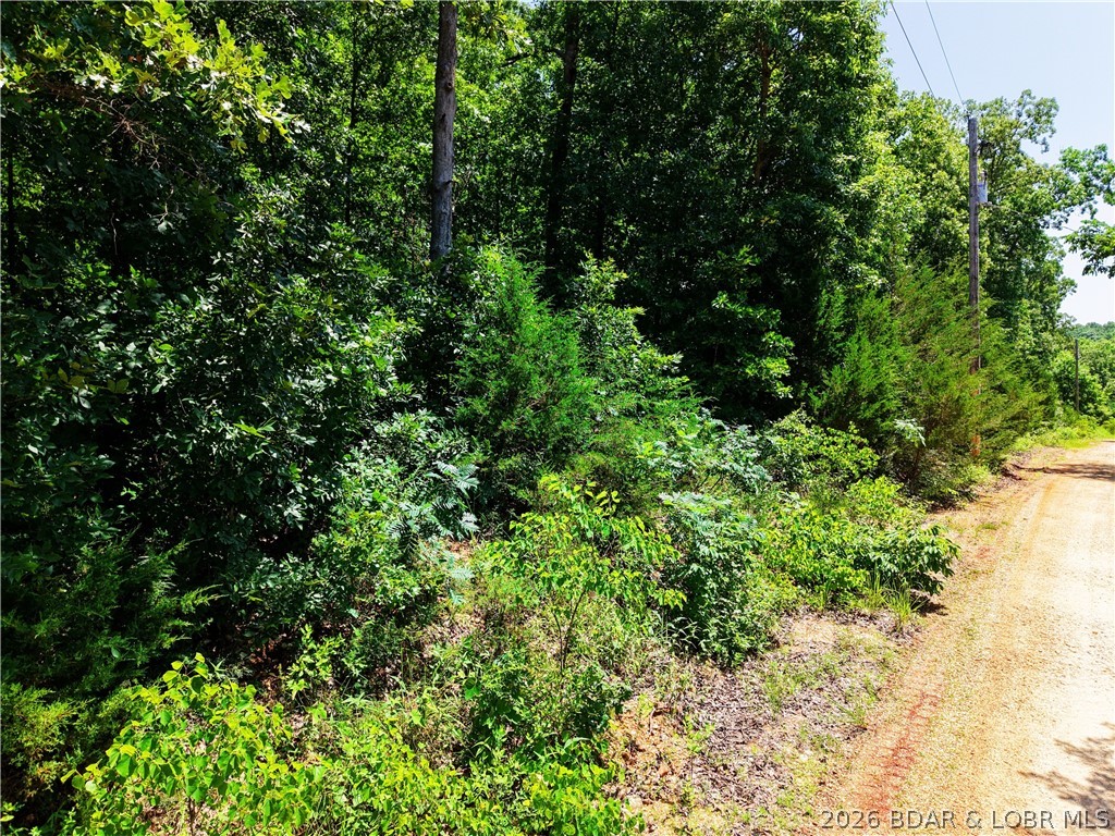 Indian Creek Hills - Land