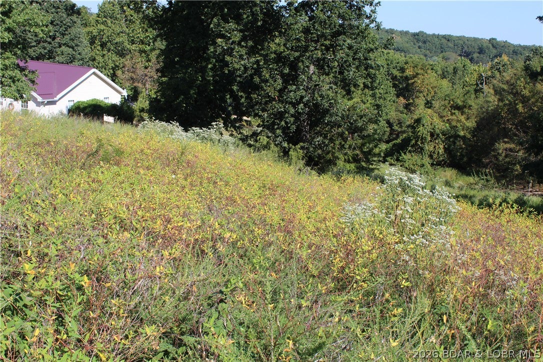 Country Life Acres - Land