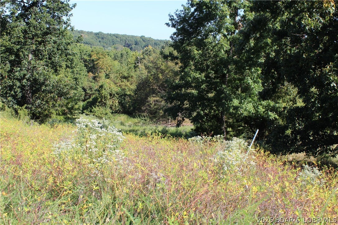 Country Life Acres - Land