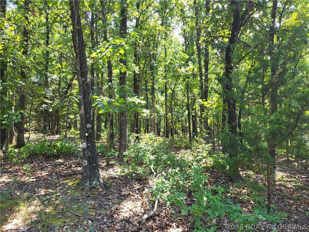 Forbes Lake of the Ozarks - Land