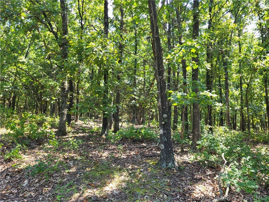 Build, escape, and enjoy the outdoors on this beautiful 5-acre property in Forbes Lake of the Ozarks Park! With gentle terrain, a peaceful wooded setting, and electric conveniently on the next parcel, this property offers an excellent opportunity to build your dream home, weekend retreat, or private getaway. Abundant wildlife adds to the natural charm, while Forbes Lake and the community’s recreational amenities are just minutes away. Enjoy access to 3 interior lakes, 3 boat ramps to the calmer side of Lake of the Ozarks, tennis courts, and more. Whether you’re ready to build or simply looking for a private piece of the Lake area to enjoy for years to come, this 5-acre parcel is worth a look!
