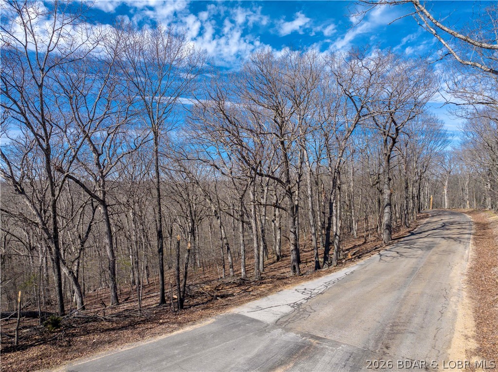 14.9 wooded Acres on paved road.  Private and peaceful acreage for your new Home.  Electric available at the road.  Close to the Hop & Go Convenience Store and Big Dicks Halfway Inn Restaurant.  Lots of Wildlife and guiet area at the Lake.