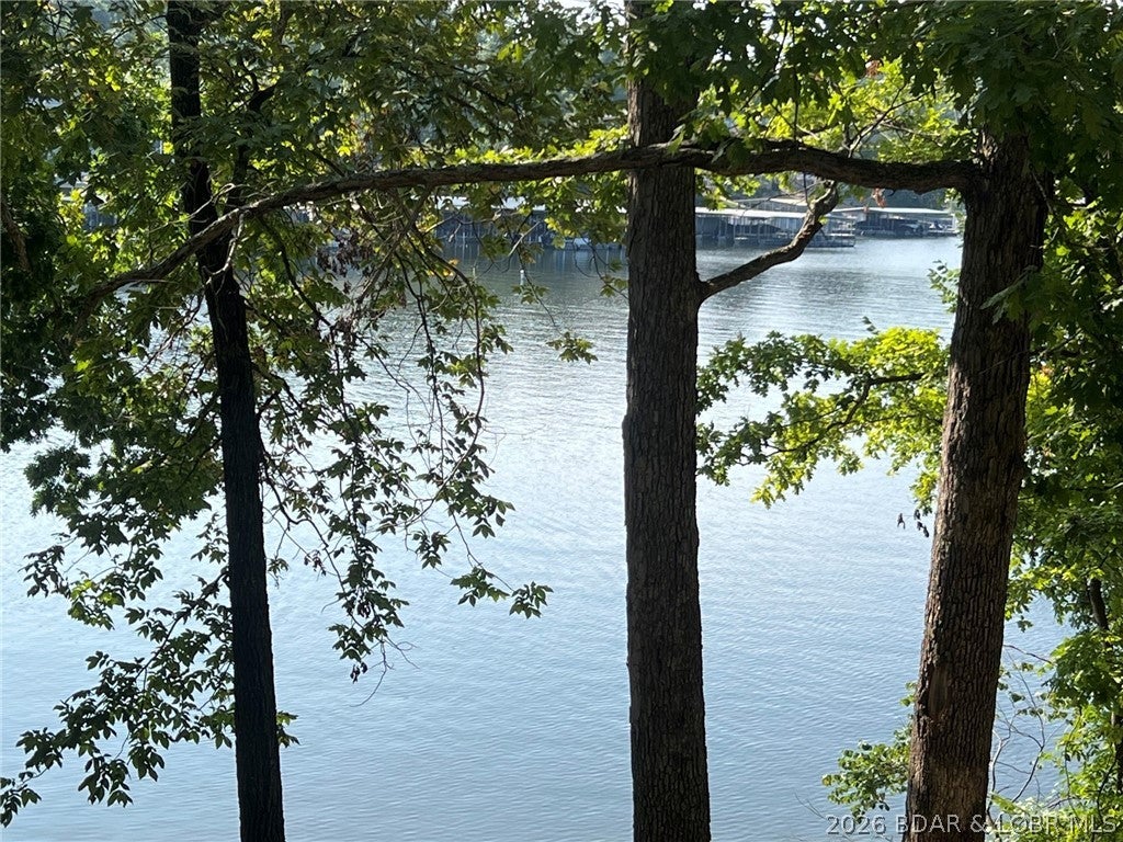 Evans Lick Branch - Land