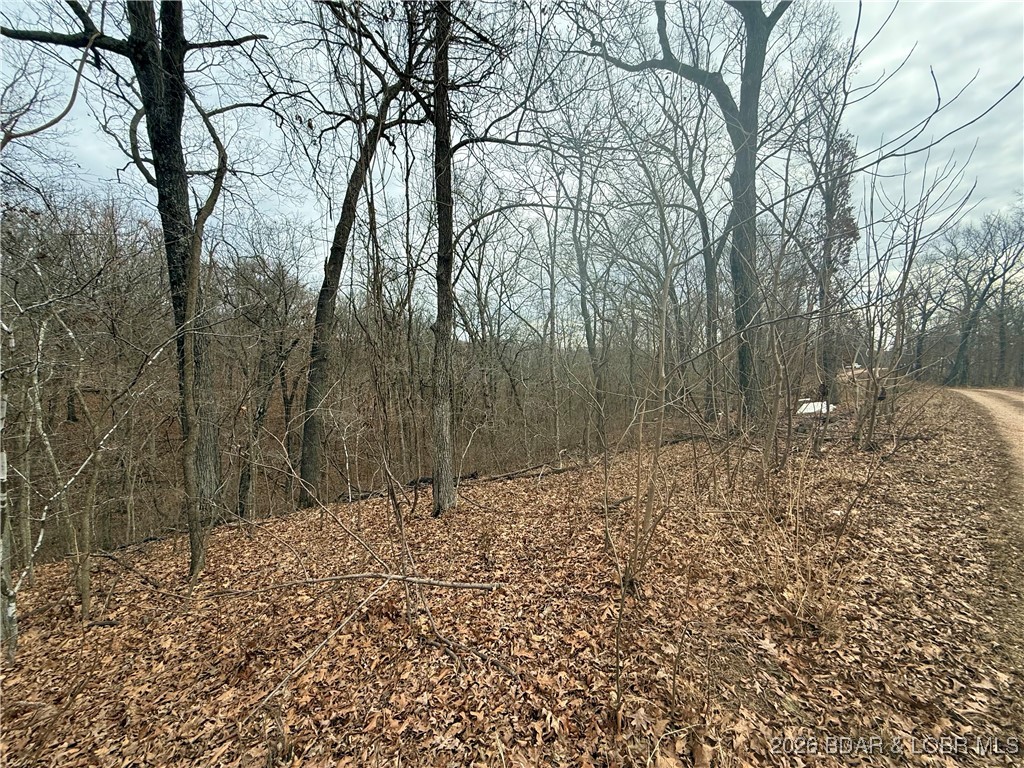 Ivy Bend - Land