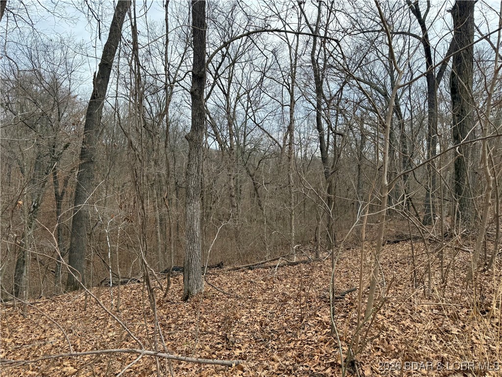 Ivy Bend - Land