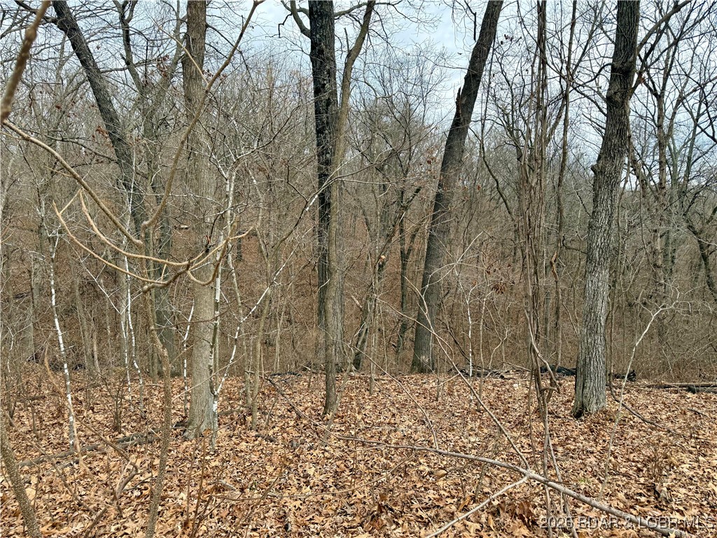 Ivy Bend - Land