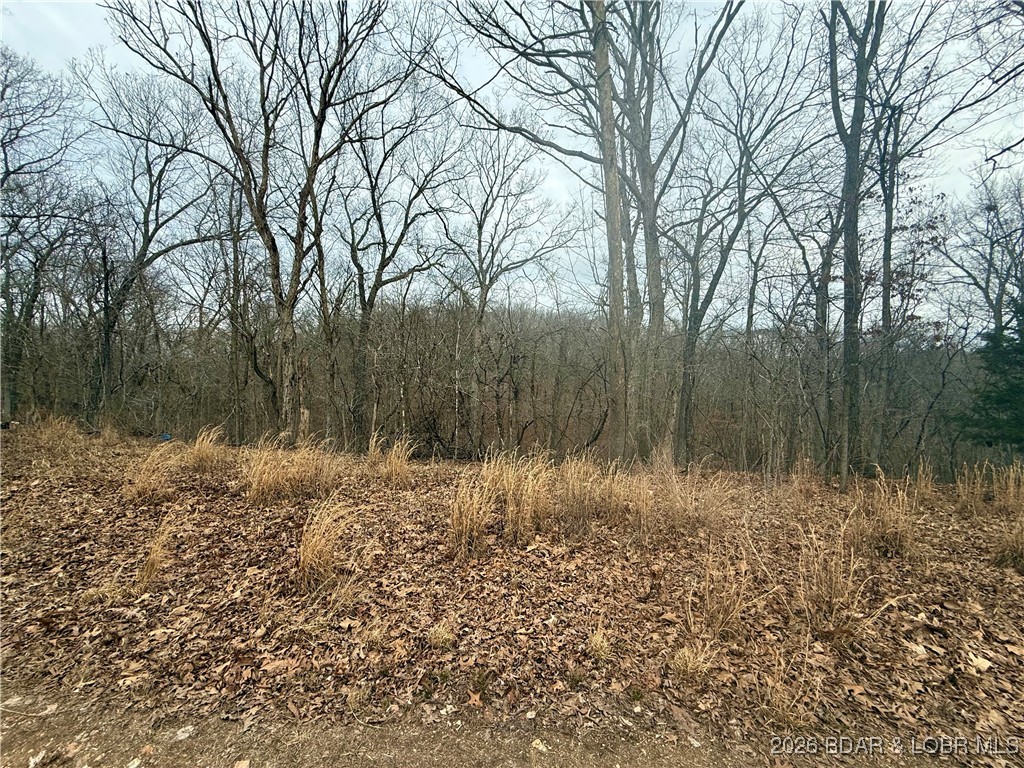 Ivy Bend - Land