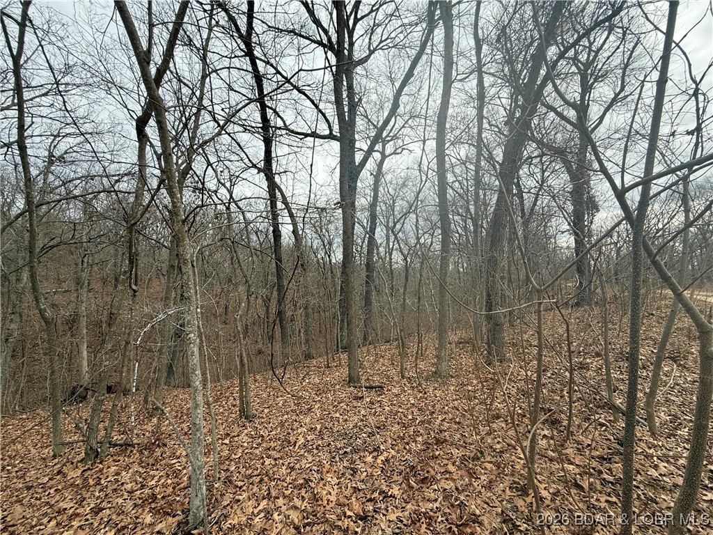 Ivy Bend - Land