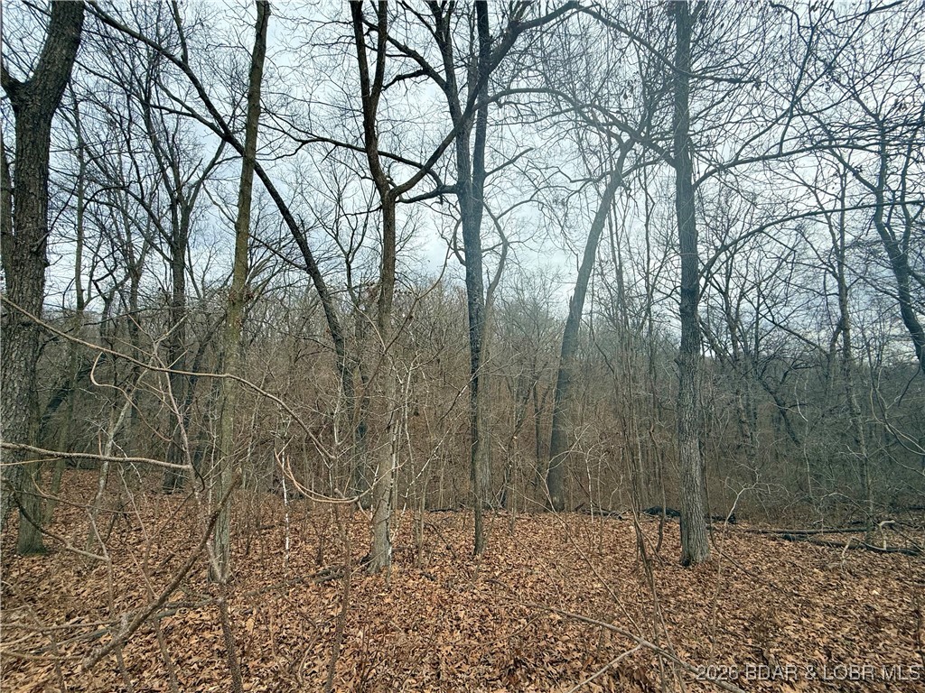 Ivy Bend - Land