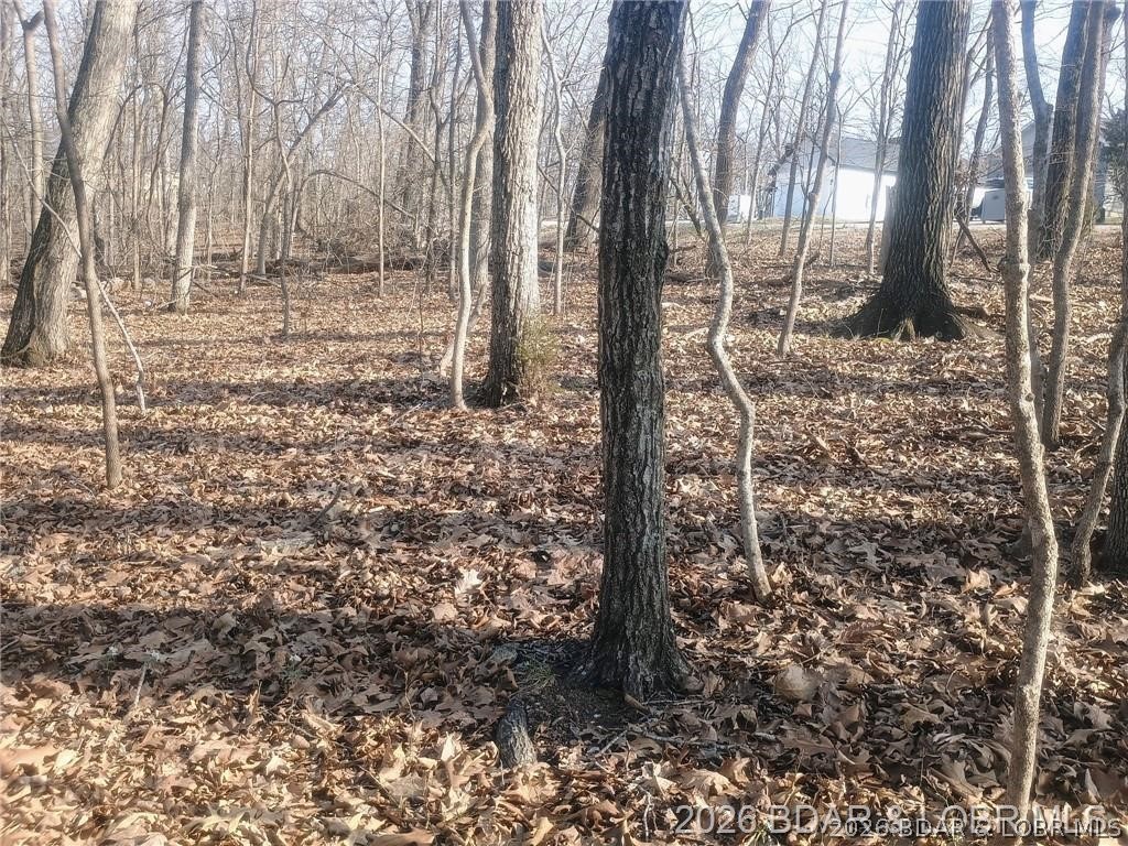 Take advantage of this 0.209-acre lot located in the Four Seasons community. This tucked-in lot offers a serene setting with the perfect balance of privacy and convenience. This lot is a great option for those looking to build a custom home or a secure piece of the lake lifestyle. Whether you are planning your next build or investing for the future, this property checks all the boxes. You get access to all four seasons' amenities when purchasing the lot.