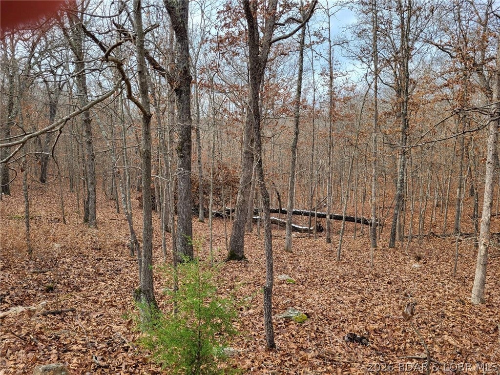 Escape to your own private retreat with this beautiful 7-acre parcel in the gated Forbes Lake of the Ozarks Park community. Heavily wooded with multiple potential building sites, this property offers the perfect blend of privacy and natural beauty. A picturesque wet-weather creek winds through the land, while abundant deer, turkey, and other wildlife make it a nature lover's paradise. Whether you're planning a weekend getaway, a hunting retreat, or your forever home, you'll appreciate the peaceful setting along with the community's outstanding amenities, including interior lakes, boat ramps to Lake of the Ozarks, tennis courts, and RV park. Come experience the serenity and endless possibilities this property has to offer!