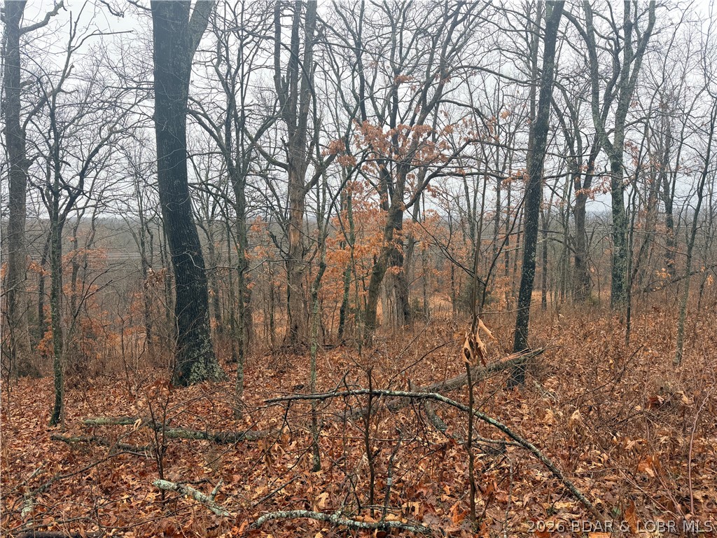 None - Land