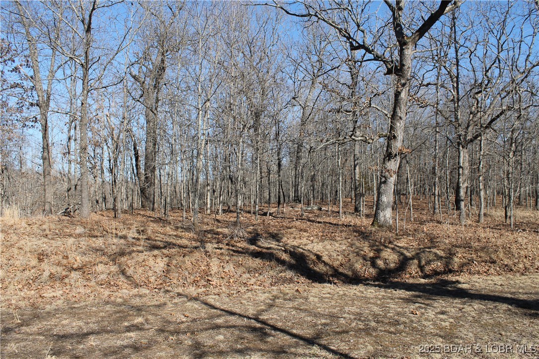 Come relax and enjoy the peaceful serenity of your own 3-acre retreat! Surrounded by nature, this property is home to abundant deer, turkey, and other wildlife for you to enjoy. Whether you’re ready to build your dream home or create the perfect getaway, this lot is nestled within the gated Forbes Lake of the Ozarks Park, offering an array of amenities including interior lakes, boat ramps to the calmer side of Lake of the Ozarks, tennis court, RV park, and more. Conveniently located just 30 minutes from Warsaw and a little over 2 hours from Kansas City, this property combines privacy, recreation, and accessibility. Don’t miss the chance to make it yours!